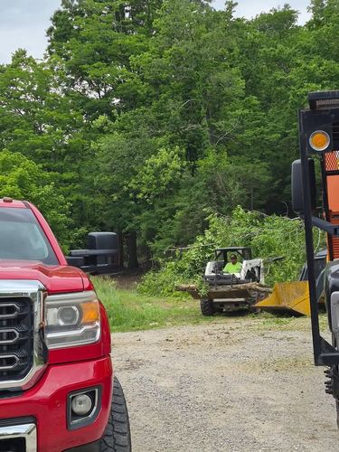 All Photos for Carpenter's Tree Service in Aurora, IN