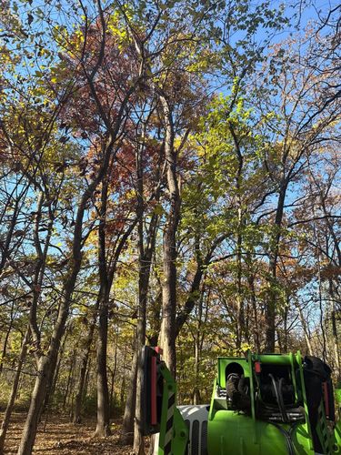 Fall Clean Up for Fransen's Tree Service  in Freeport, IL