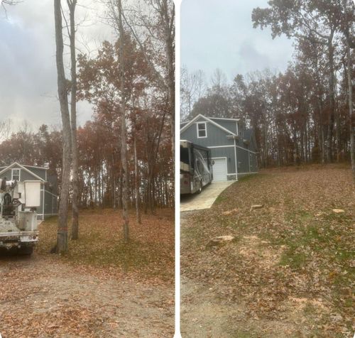  for McBee’s Tree Service in Sewanee, TN