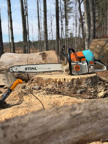 All Photos for Ramirez Tree Care in Elkin, NC