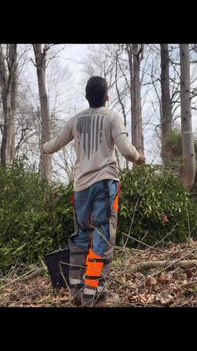 All Photos for Ramirez Tree Care in Elkin, NC