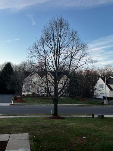 All Photos for Unique Outdoor Lighting in Short Hills, NJ