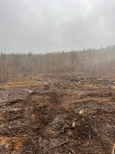 Site Preparation for Shufelt Excavation & Forestry Mulching in Gray, ME