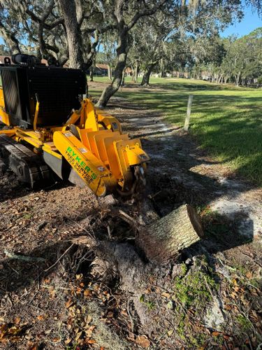Stump Removal for Ryker's Tree Service in Dunedin, FL