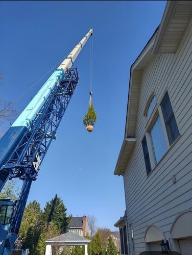 M&M Professional Landscaping for Offering professional solutions for every aspect of your home. in Sterling, VA