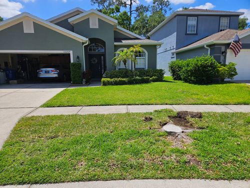  for Bay Area Bobcat in Riverview, FL
