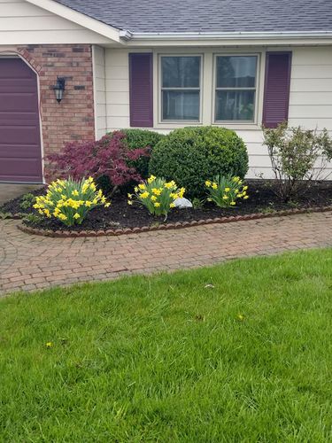 Lawn Care and Maintenance for R&M Lawn Control in Defiance, OH
