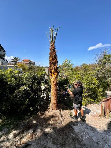 Landscaping Installation & Design for Pro Designs Landscaping in Jacksonville, FL