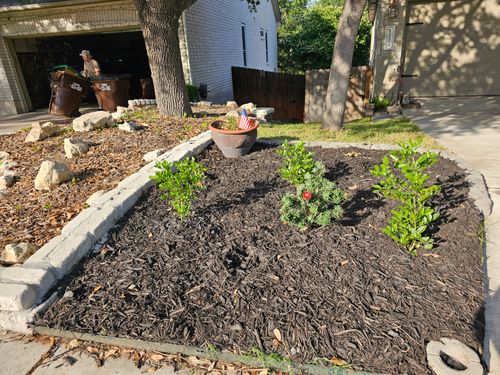 Mulch Installation for Miller Mowing & Maintenance LLC in San Antonio, TX