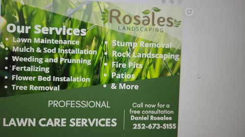 Tree Removal for Rosales Landscaping LLC in Lake Gaston, North Carolina