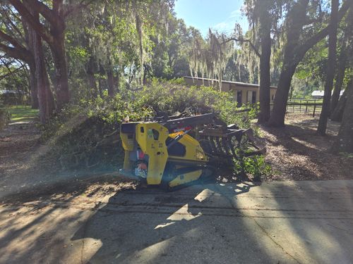 Underbrush Clearing for Near Me Tree Service, Inc. in DeLand, FL