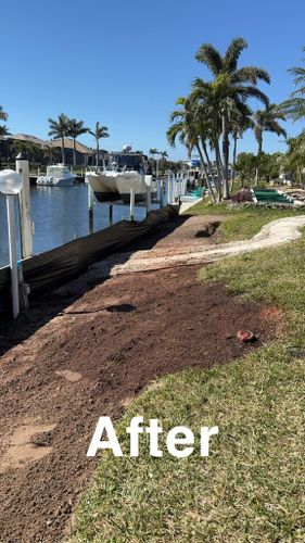 Stump Grinding for Rize N’ Grind  in Punta Gorda, FL