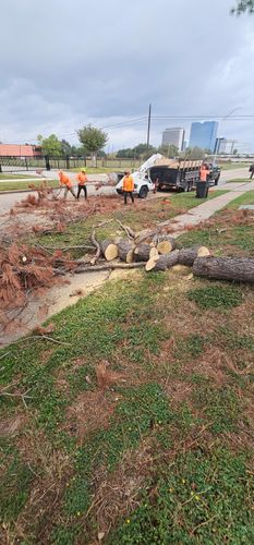  for Servin's Tree Care  in Houston, TX