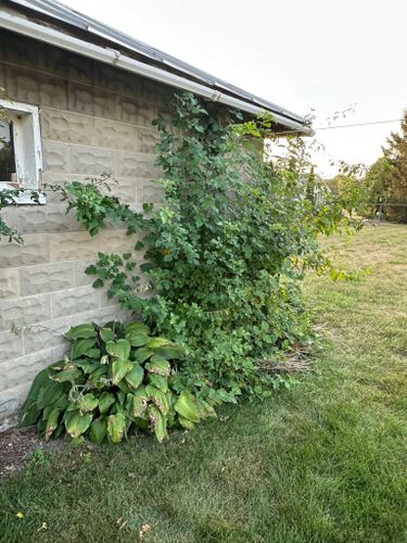  for OT Lawn and Landscaping LLC in Carey, OH