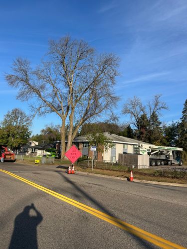 24-Hour Emergency Services for Allstate Tree Service and Crane in Minneapolis, MN