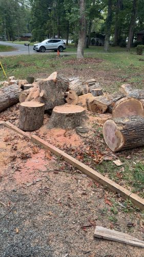 All Photos for Ramirez Tree Care in Elkin, NC