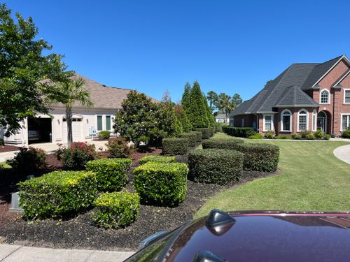 All Photos for New Creation Landscaping in Myrtle Beach, SC