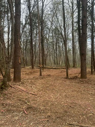  for Z's Land Management & Forestry Mulching in Smithville, TN