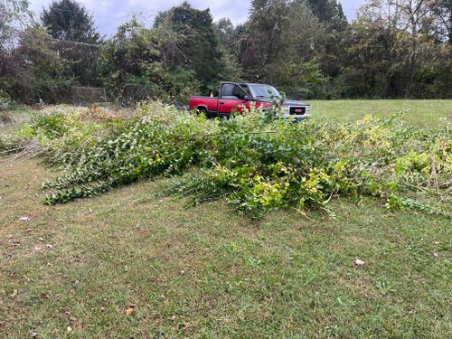 All Photos for The Yard Barbers in Somerset, KY