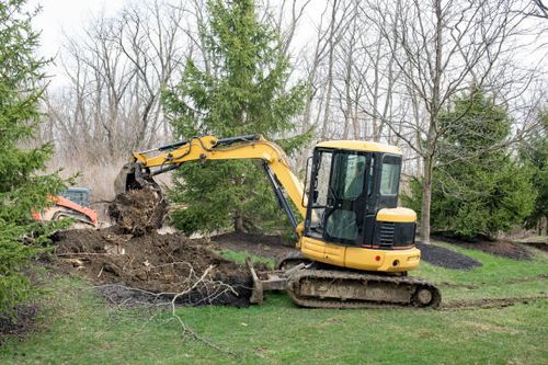 Tree Removal for Bro-Mac & Sons in Springfield, Illinois