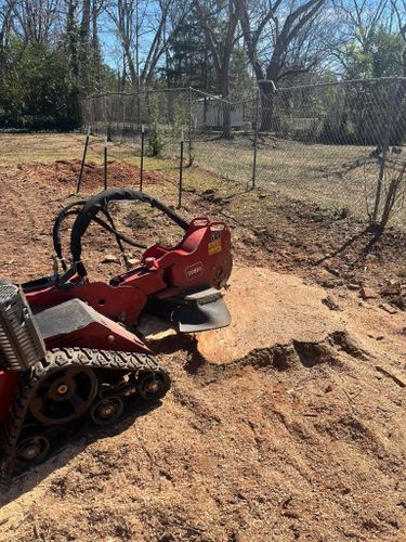  for Otis Lee Stump Grinding LLC in Elgin, SC