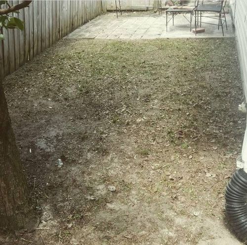 All Photos for Voilà Magic LawnCare Services in Jacksonville, NC