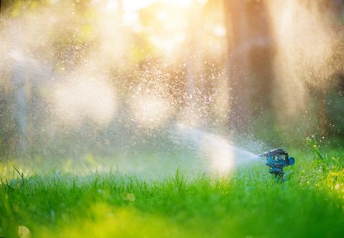 Irrigation Design Services for RSI Sprinklers & Drainage  in Southwest Houston, TX