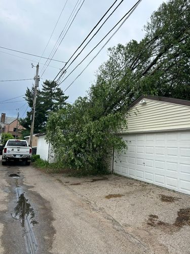 Tree Removal for Allstate Tree Service and Crane in Spring Lake Park, MN