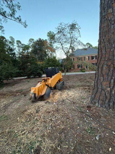 Stump Excavation for Dozier Stump Grinding in Augusta, GA