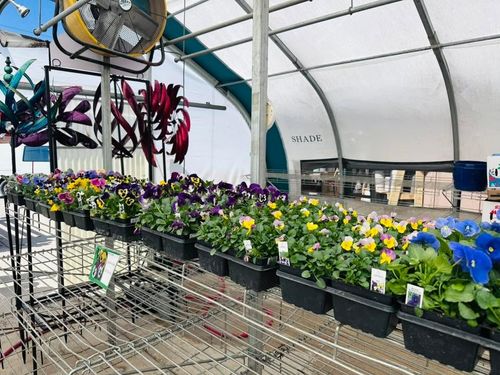 Gardening for Mayfield Landscaping in Staunton, IL