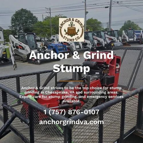 Stump Grinding for Anchor & Grind Stump in Chesapeake, VA