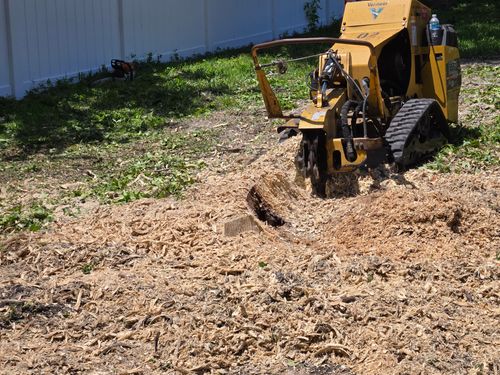 Stump Removal for Near Me Tree Service, Inc. in DeLand, FL
