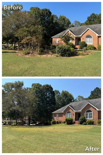Brush Cutting and Removal for Fayette Property Solutions in Fayetteville, GA