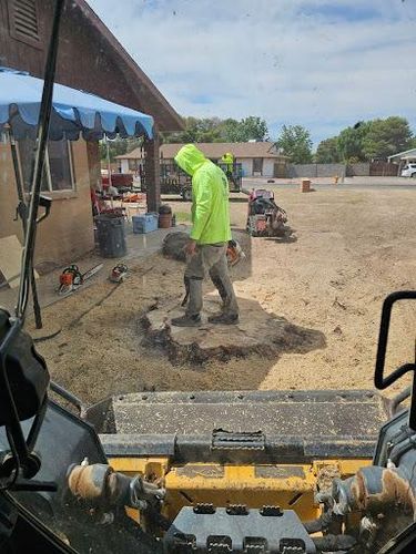 Tree Removal for T's Tree Service and Firewood in Apache Junction, AZ