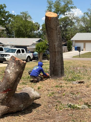  for Greene Acres Stump Grinding in Plant City, FL