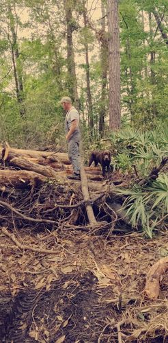 Firewood Supply for JD's Tractor Works, LLC. in Savannah, GA