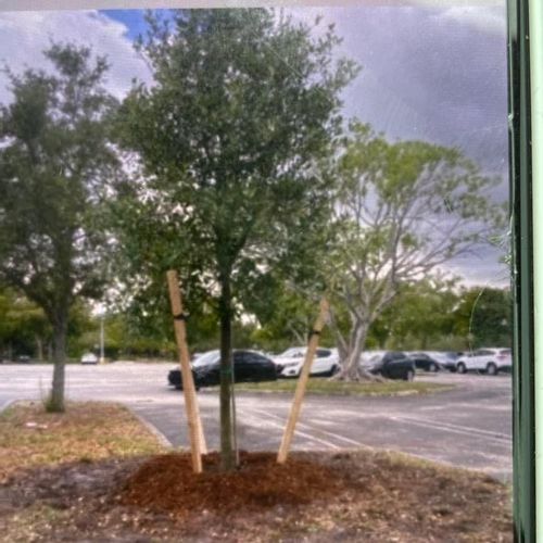 All Photos for Bridgewater Arbor Care LLC in Jupiter, FL