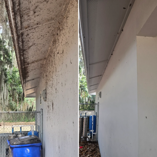 Soft Washing for Above the Lawn Cuts and Pressure Washing in Sebring, FL