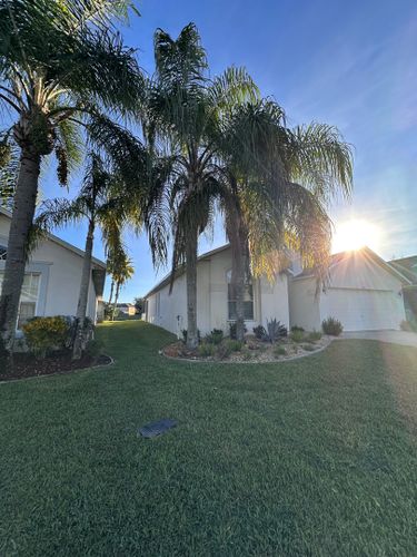 Irrigation System Design & Install for Ludlows Services in Clermont, FL