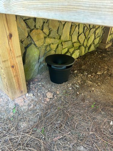 Termite Inspection & Treatment for Winecoff Pest Control in Salisbury, NC