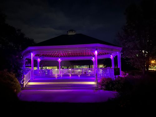 All Photos for Unique Outdoor Lighting in Short Hills, NJ