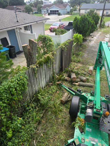 All Photos for Highlife Tree Care And Landscaping in Altamonte Springs, FL