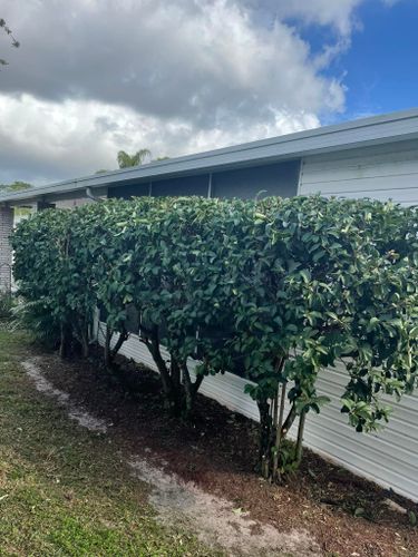 All Photos for A&D Lawn Care of Lakeland in Lakeland, FL