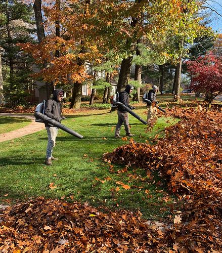 Spring/Fall Clean Up for Blue Ridge Landscape in Polson, MT