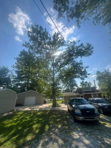 Tree Trimming for Hunnicutt’s Tree Service L.L.C. in Monticello, IN