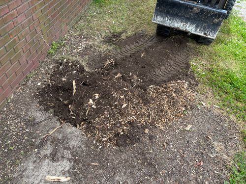Stump Removal for Conrad's Stump Removal in Columbus, IN