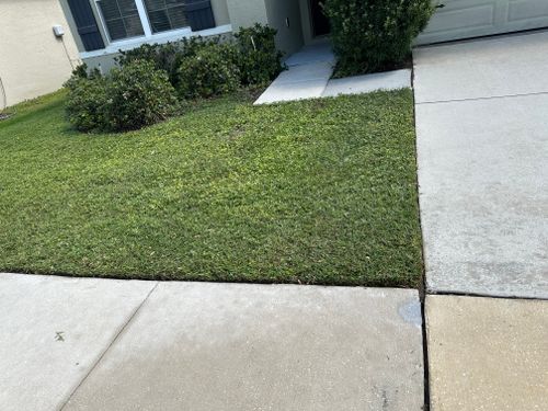 Lawn Maintenance for The Yardman in Tampa, FL