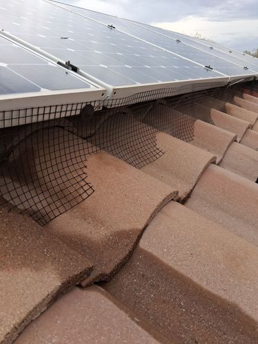 Bird Proofing for Olson & Sons Contracting in Mesa, AZ