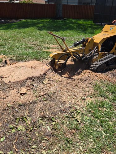 Stump Removal for Near Me Tree Service, Inc. in DeLand, FL