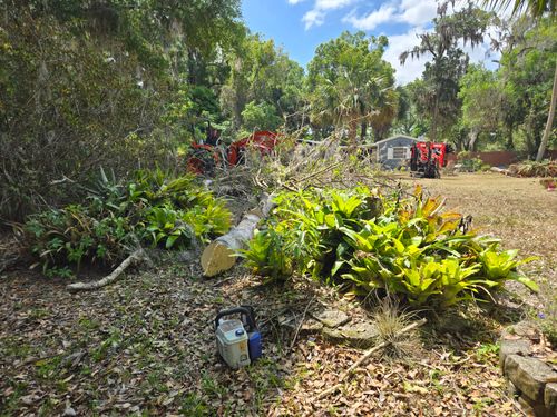 Underbrush Clearing for Near Me Tree Service, Inc. in DeLand, FL